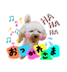 渡邉家のろくたん②（個別スタンプ：7）