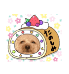 渡邉家のろくたん②（個別スタンプ：8）