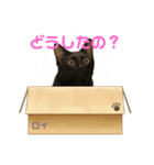 ローラちゃんとロイくん⑧（個別スタンプ：2）