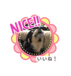 元気な初代チャッピー（個別スタンプ：3）