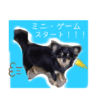 元気な初代チャッピー（個別スタンプ：7）