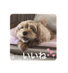 ぷーたん、第8弾（個別スタンプ：10）