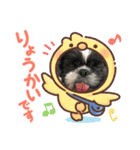 シーズー ムースとクッキー（個別スタンプ：7）