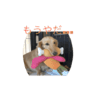 ザ・ミニチュアダックスフンド（個別スタンプ：3）