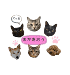 ずんだ＆フレンズ2   やさしさいっぱい編（個別スタンプ：1）