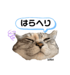 ずんだ＆フレンズ2   やさしさいっぱい編（個別スタンプ：3）