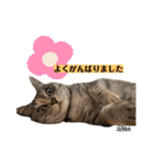 ずんだ＆フレンズ2   やさしさいっぱい編（個別スタンプ：4）