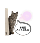 ずんだ＆フレンズ2   やさしさいっぱい編（個別スタンプ：5）