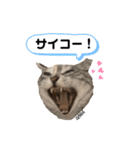 ずんだ＆フレンズ2   やさしさいっぱい編（個別スタンプ：6）