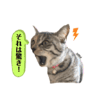 ずんだ＆フレンズ2   やさしさいっぱい編（個別スタンプ：7）