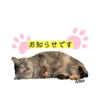 ずんだ＆フレンズ2   やさしさいっぱい編（個別スタンプ：8）