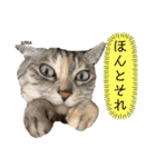 ずんだ＆フレンズ2   やさしさいっぱい編（個別スタンプ：9）