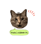 ずんだ＆フレンズ2   やさしさいっぱい編（個別スタンプ：11）