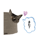ずんだ＆フレンズ2   やさしさいっぱい編（個別スタンプ：12）
