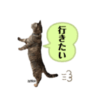 ずんだ＆フレンズ2   やさしさいっぱい編（個別スタンプ：14）
