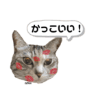 ずんだ＆フレンズ2   やさしさいっぱい編（個別スタンプ：16）