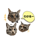 ずんだ＆フレンズ2   やさしさいっぱい編（個別スタンプ：18）