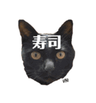 ずんだ＆フレンズ2   やさしさいっぱい編（個別スタンプ：21）