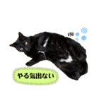 ずんだ＆フレンズ2   やさしさいっぱい編（個別スタンプ：23）
