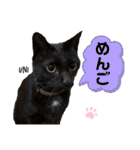 ずんだ＆フレンズ2   やさしさいっぱい編（個別スタンプ：24）