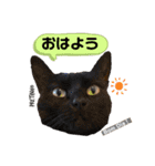 ずんだ＆フレンズ2   やさしさいっぱい編（個別スタンプ：29）