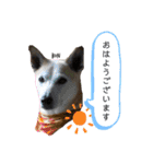 ずんだ＆フレンズ2   やさしさいっぱい編（個別スタンプ：37）