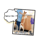 ずんだ＆フレンズ2   やさしさいっぱい編（個別スタンプ：38）