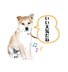 ずんだ＆フレンズ2   やさしさいっぱい編（個別スタンプ：40）