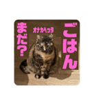 ぽんちゅ と ちょろ（個別スタンプ：4）