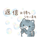 背景が動く3びきのねこ♪敬語スタンプ（個別スタンプ：24）