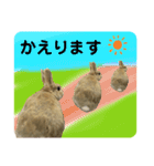 うさぎのもふもふちゃん（個別スタンプ：4）
