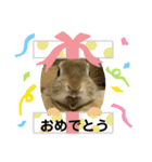 うさぎのもふもふちゃん（個別スタンプ：15）