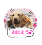 じゅらら～（個別スタンプ：7）