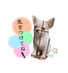 幸太郎(コタロウ)スタンプ part2（個別スタンプ：5）