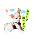 幸太郎(コタロウ)スタンプ part2（個別スタンプ：6）