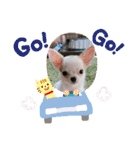 幸太郎(コタロウ)スタンプ part2（個別スタンプ：32）