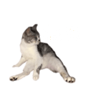 ぺぺさん脱力（個別スタンプ：7）