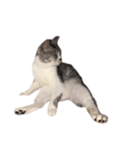 ぺぺさん脱力（個別スタンプ：9）