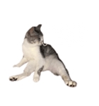 ぺぺさん脱力（個別スタンプ：14）