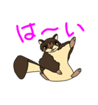 くまとモモのいる生活（個別スタンプ：2）
