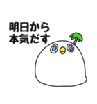 白い島鳥（個別スタンプ：1）