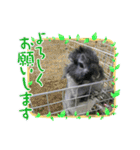 うさぎのテル。（個別スタンプ：1）