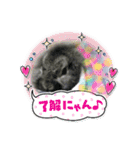 うさぎのテル。（個別スタンプ：9）
