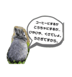 うさぎのテル。（個別スタンプ：18）
