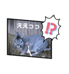 うさぎのテル。（個別スタンプ：21）