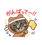 おれさまはうー。サバねこのうーです。（個別スタンプ：26）