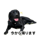はるれい 2（個別スタンプ：1）