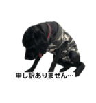 はるれい 2（個別スタンプ：13）
