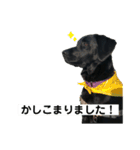 はるれい 2（個別スタンプ：14）