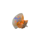 お魚さんたちの日常（個別スタンプ：6）